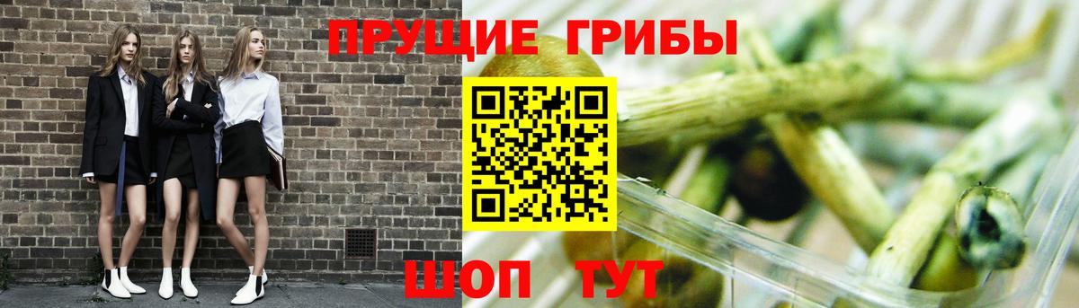 Псилоцибиновые грибы прущие грибы  Вход с VPN  Лесозаводск  Галлюциногенные грибы Magic Shrooms 
